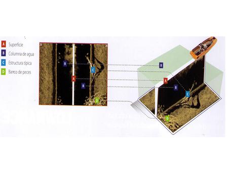 Cómo usar módulo Sonda Structure Scan Lowrance para Pescar - Las diferencias con una tecnología convencional