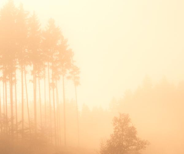 Tipos de nubes y sus caracteristicas - Nubes bajas 