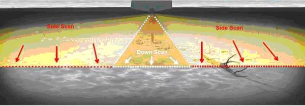 Cómo usar módulo Sonda Structure Scan Lowrance para Pescar - ¿Qué muestra el Structure Scan de Lowrance? 