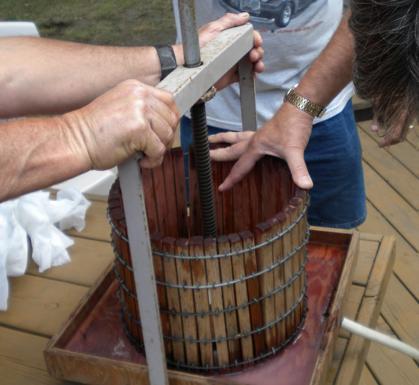 Cómo hacer vino casero. Vendimia y consejos para principiantes