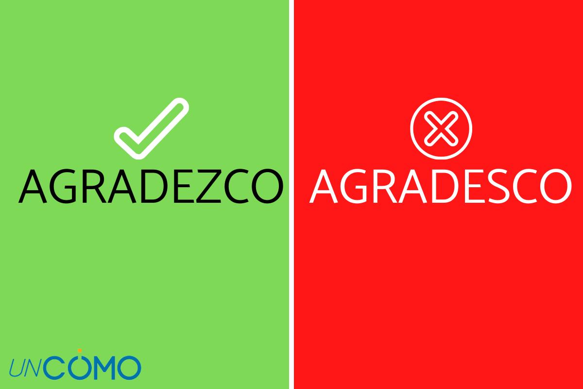 Cómo se escribe agradezco o agradesco