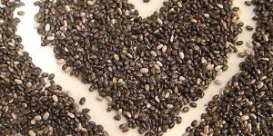 Cuáles son las propiedades de las semillas de chía