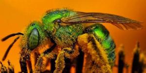 Cómo hacer fotos de alta resolución en 300 DPI