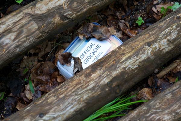 Geocaching: qué es, cómo funciona, tipos y cómo empezar en esta aventura