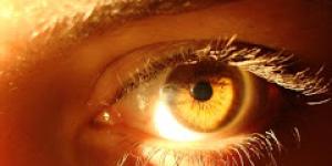 Cómo se produce la ictericia