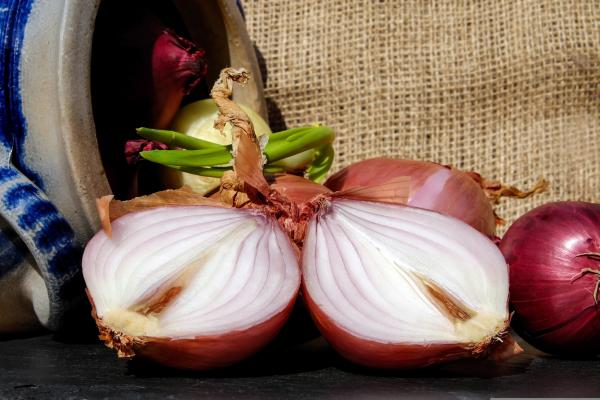 Conoce la mejor coca de San Juan salada con verduras y atún con esta receta tradicional - Paso 7