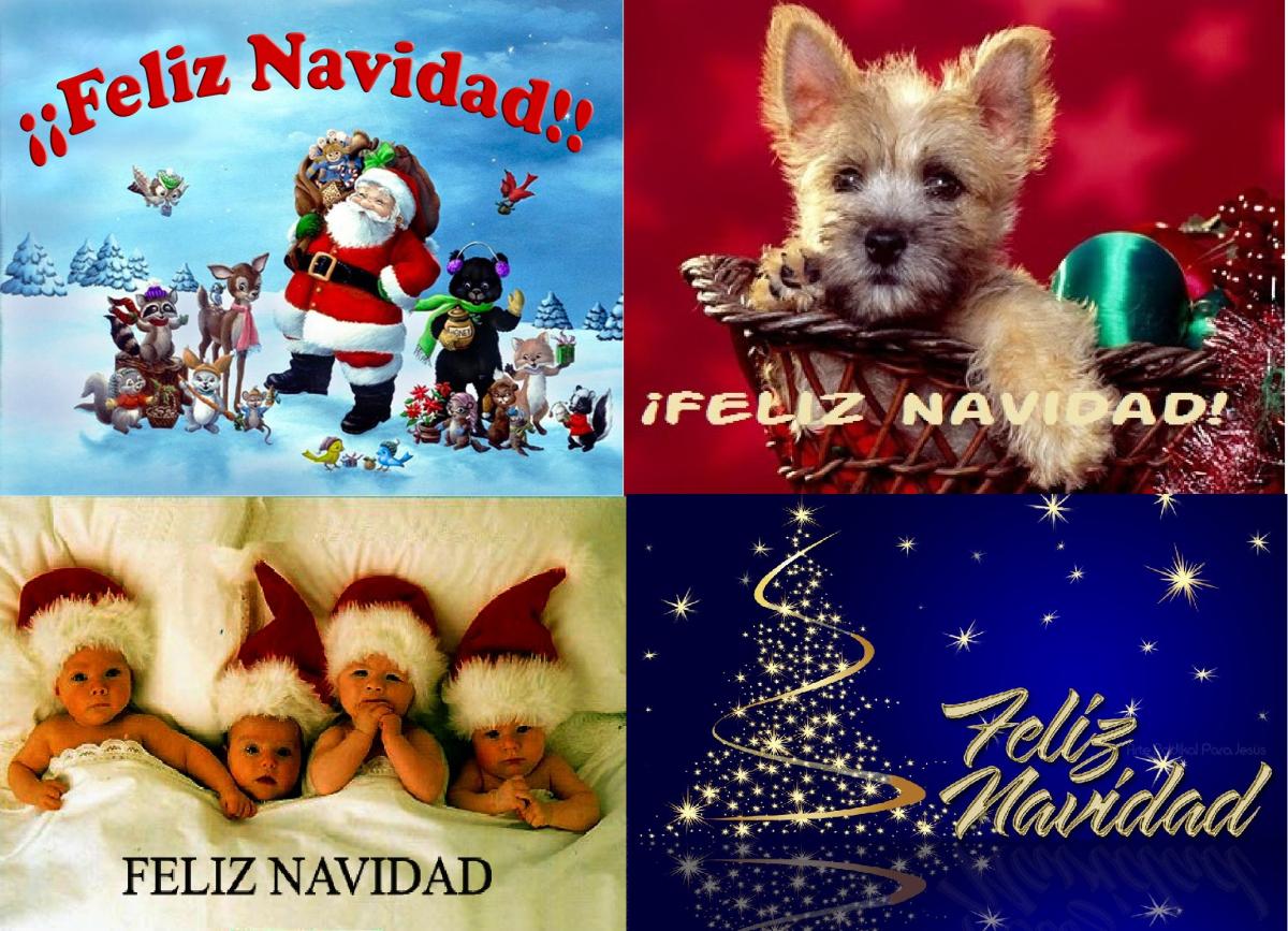 Imágenes para felicitar la Navidad