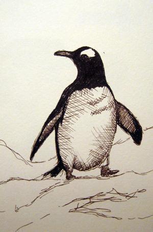 Cómo dibujar un pingüino