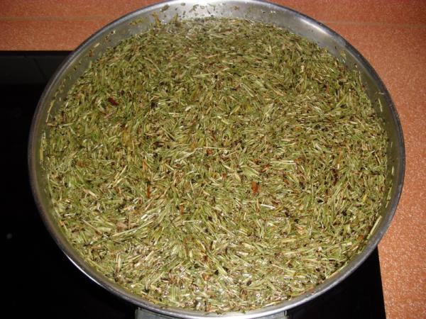 Cómo hacer insecticida con cola de caballo - Paso 2