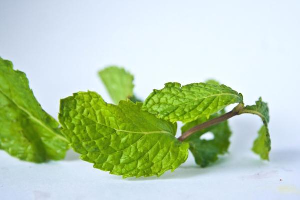 Cómo hacer un tinto de verano sin alcohol - Paso 5