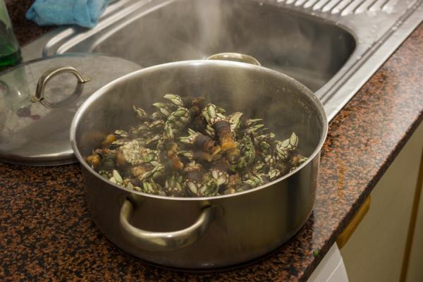 Cómo cocer percebes - Paso 2