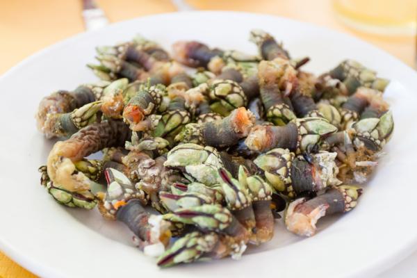 Cómo cocer percebes - Paso 4