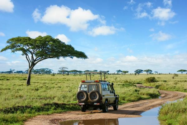 Países que conducen por la izquierda: cuáles son y por qué lo hacen - Tanzania