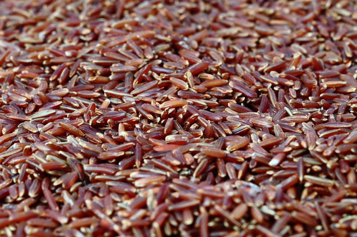 Arroz rojo: propiedades, beneficios y cómo tomarlo