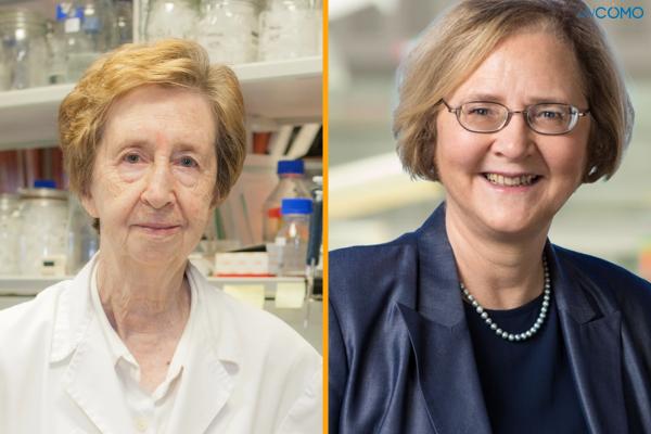 Las mujeres científicas más importantes de la historia - Elizabeth Blackburn (1948)