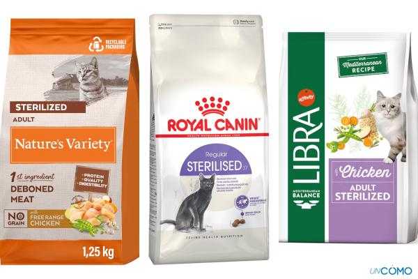 Los mejores piensos para gatos esterilizados según la OCU: recomendaciones de expertos