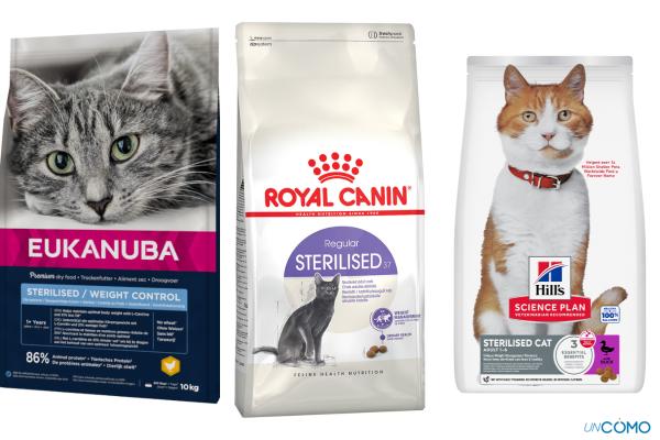 Los mejores piensos para gatos esterilizados según la OCU: recomendaciones de expertos - Science Plan