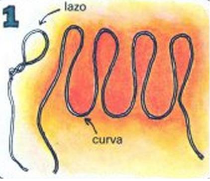 Cómo hacer el juego de la mano firme - Paso 1