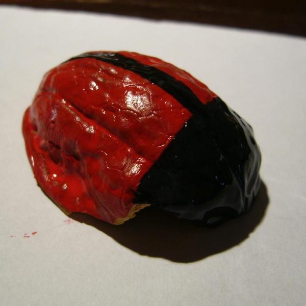 Cómo hacer una mariquita con una nuez - Paso 2