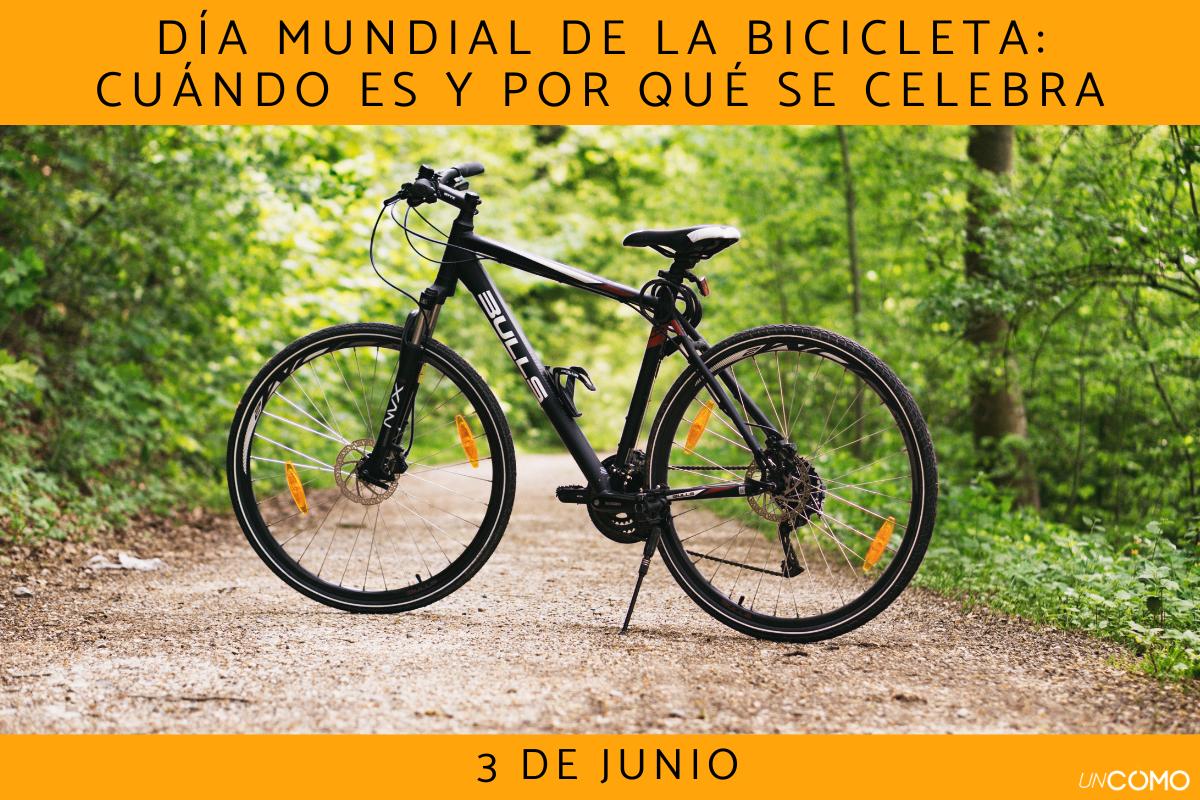 Día Mundial de la Bicicleta: cuándo es y por qué se celebra este día