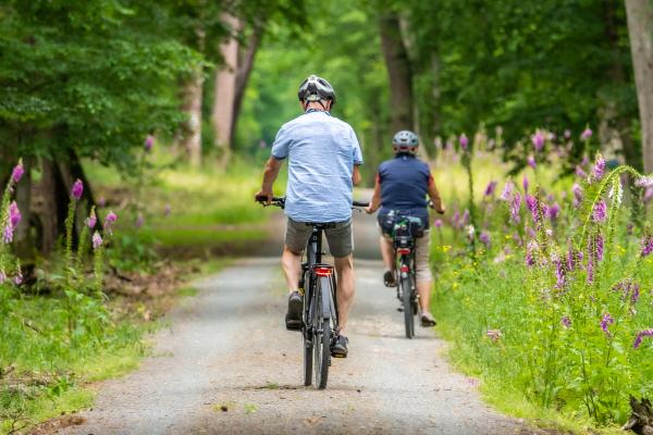 Día Mundial de la Bicicleta: cuándo es y por qué se celebra este día - Por qué se celebra el Día Mundial de la Bicicleta