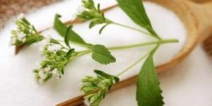 Cómo reemplazar el azúcar por stevia