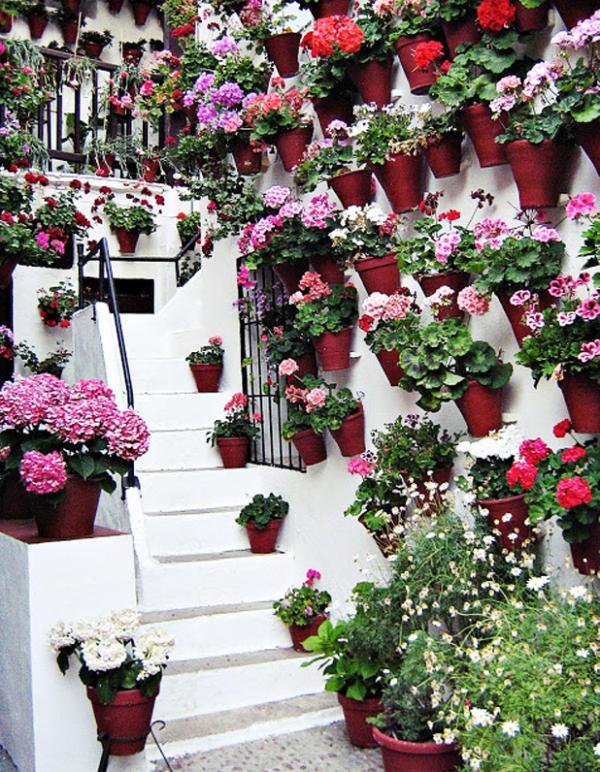 Cómo decorar un patio andaluz - Flores naturales