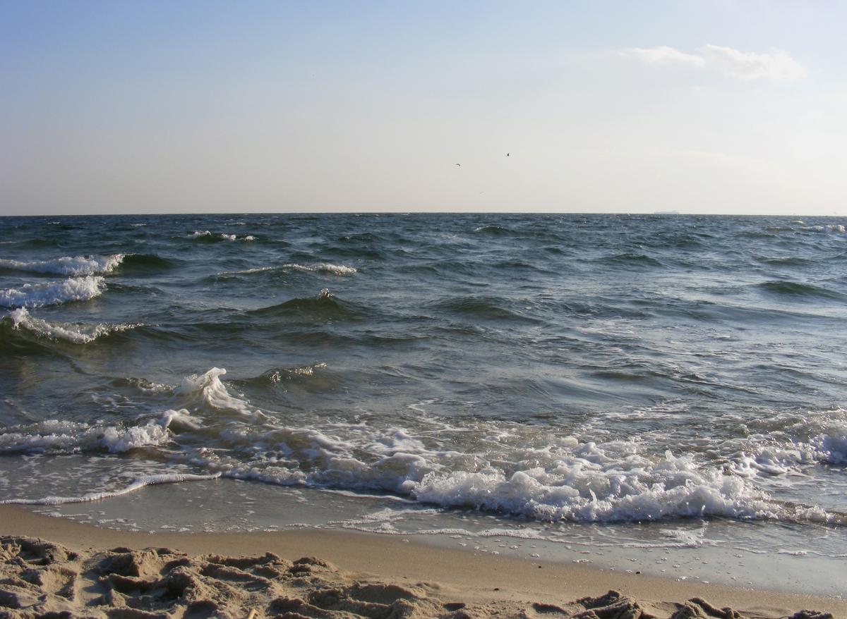 Cuáles son los estados de la mar