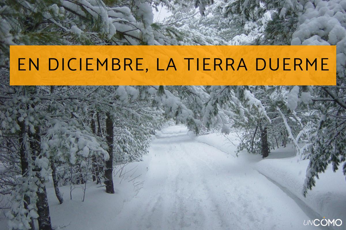 Refranes de diciembre: lista de los más populares