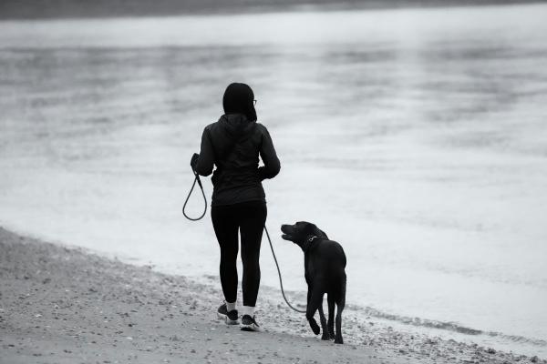 Cómo superar la muerte de un perro: guía para afrontar el duelo paso a paso y recordar con amor - Validar el dolor para sanar