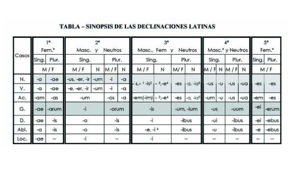 Cuáles son las declinaciones latinas - Tabla resumen de declinaciones