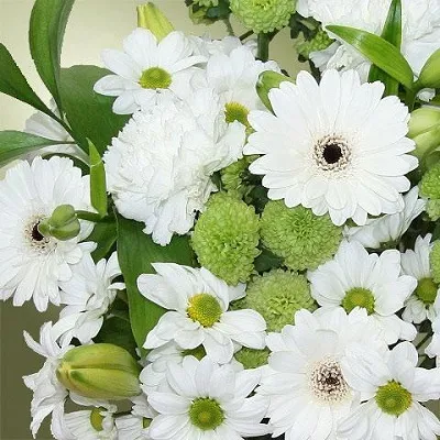 flores que simbolizan la muerte