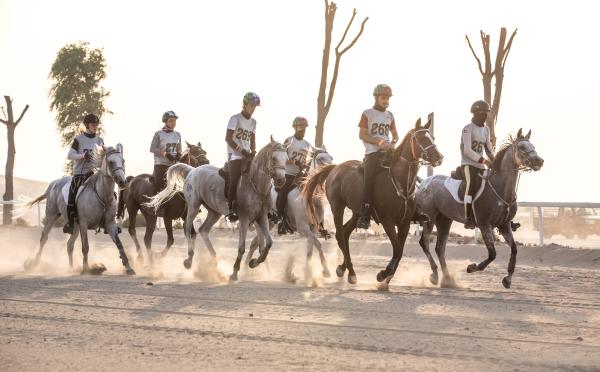 Tipos de deportes con caballos - Raid