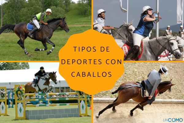 8 tipos de deportes con caballos 8 tipos de deportes con caballos