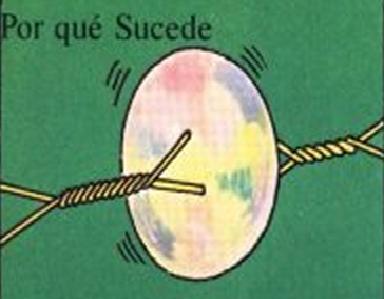 Cómo hacer el experimento del arco iris - Paso 5