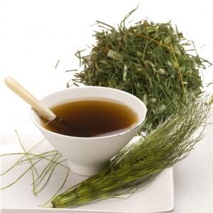 Plantas medicinales para la artrosis - Plantas medicinales para la artrosis: cola de caballo