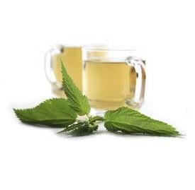 Plantas medicinales para la artrosis - Plantas medicinales para la artrosis: ortiga