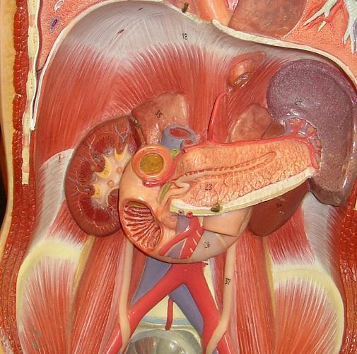 Cómo se manifiesta la pancreatitis crónica