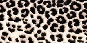 Cómo combinar leggins leopardo