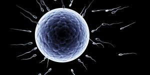 5 métodos naturales para ayudarte a quedar embarazada