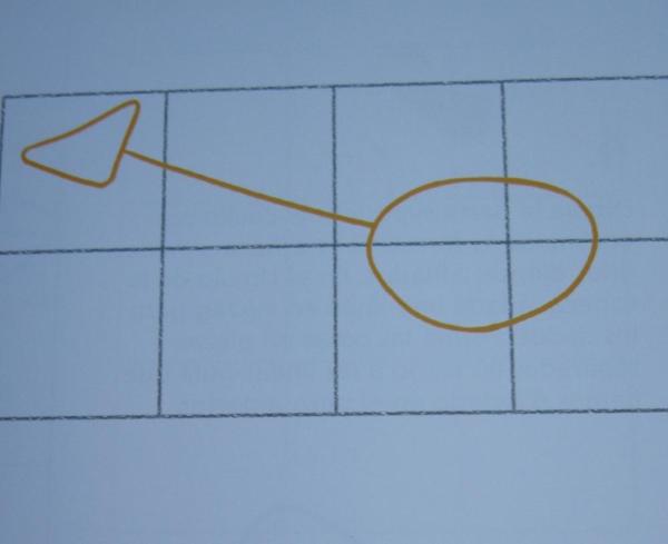 Cómo dibujar una Mantis religiosa - Paso 1