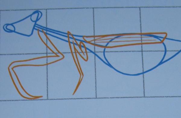 Cómo dibujar una Mantis religiosa - Paso 3