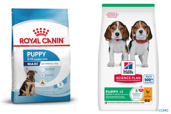 Los mejores piensos para perros cachorros según la OCU: recomendaciones de expertos - Hill's Science Plan Puppy