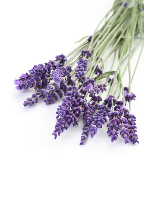 Cómo quitar las marcas de la cara - Paso 4