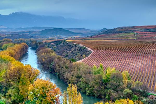 Dónde viajar en España en noviembre: guía con los mejores destinos - La Rioja