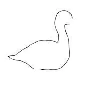como dibujar un pato paso a paso
