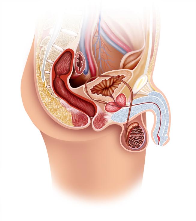 Como_tratar_la_prostatitis_5228_orig