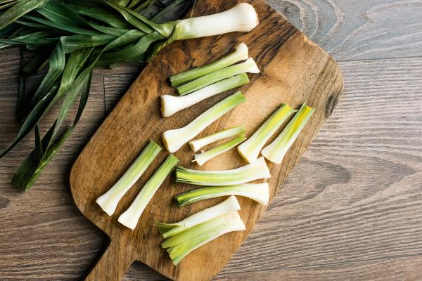 ¿Los perros pueden comer puerro? Descubre por qué es peligroso dárselo a tu mascota - ¿Es malo el puerro para los perros?
