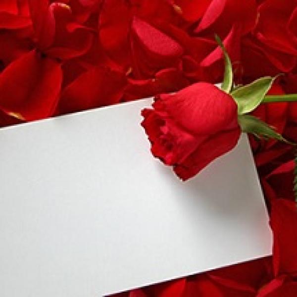 escribir una carta de declaración