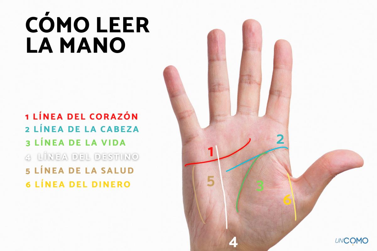 Cómo leer la mano